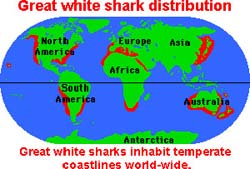 Great White Shark Distribution